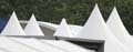 ANM-SS-1016-0557