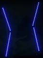 ANM-SS-1016-0637