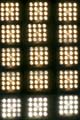 ANM-SS-1016-0644