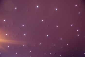 ANM-SS-1017-3545