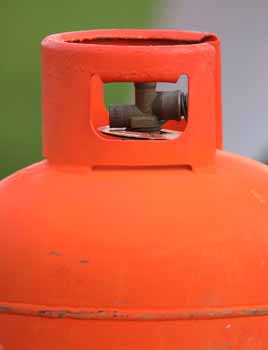 ANM-SS-1017-5585