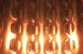 ANM-SS-1017-3645