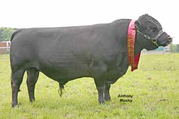 ANM-SS-507-1796