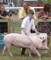IMG_1323
