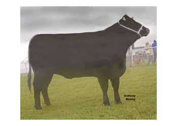 ANM-SCS-508-1759