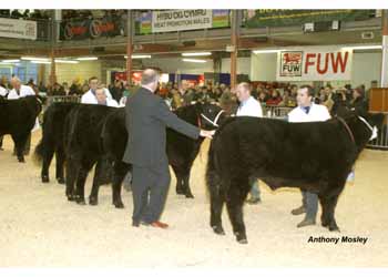 ANM-WWF-1104-0091