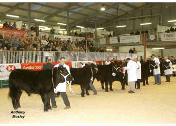 ANM-WWF-1104-0104