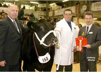ANM-WWF-1104-0133A
