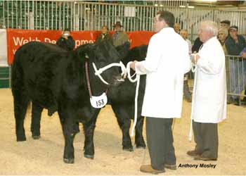 ANM-WWF-1104-0143