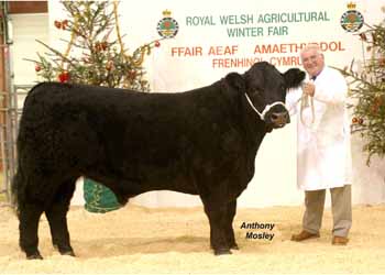 ANM-WWF-1104-0239