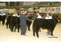 ANM-WWF-1104-0091