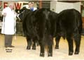 ANM-WWF-1104-0142