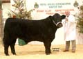ANM-WWF-1104-0239