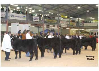 ANM-WWF-1105-0235