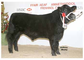 ANM-WWF-1105-0249