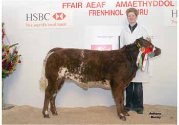 ANM-WWF-1105-0374