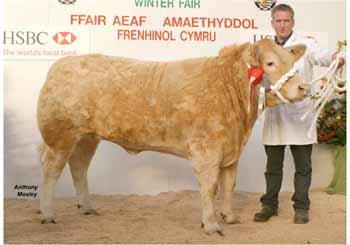 ANM-WWF-1105-0454