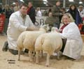 ANM-WWF-1105-0132