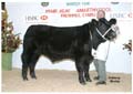 ANM-WWF-1105-0223