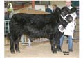 ANM-WWF-1105-0244