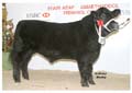 ANM-WWF-1105-0249
