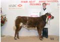 ANM-WWF-1105-0374