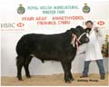 ANM-WWF-1105-0479