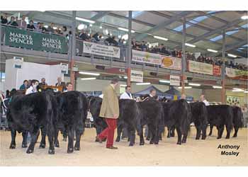 ANM-WWF-1106-0648
