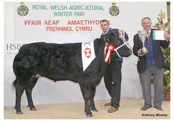 ANM-WWF-1106-0819
