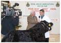 ANM-WWF-1106-0567