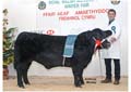 ANM-WWF-1106-0575