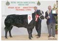 ANM-WWF-1106-0819