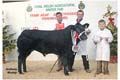 ANM-WWF-1106-0881