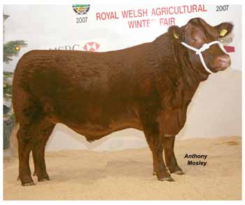 ANM-WWF-1107-0602