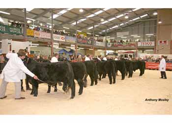 ANM-WWF-1107-0650
