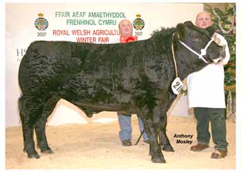 ANM-WWF-1107-0718