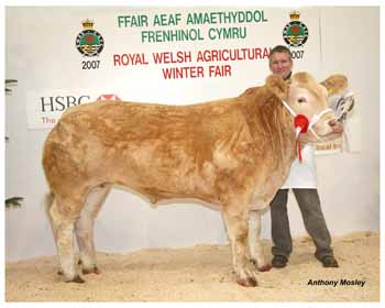 ANM-WWF-1107-1019