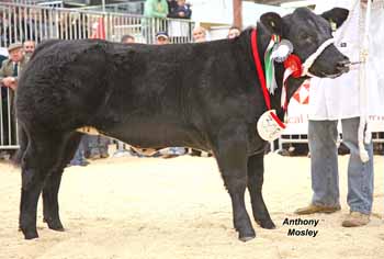 ANM-WWF-1107-1061