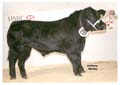 ANM-WWF-1107-0623