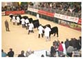 ANM-WWF-1107-0656