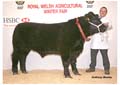 ANM-WWF-1107-0688