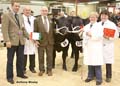 ANM-WWF-1107-0738