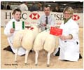 ANM-WWF-1107-0910