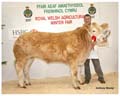 ANM-WWF-1107-1019
