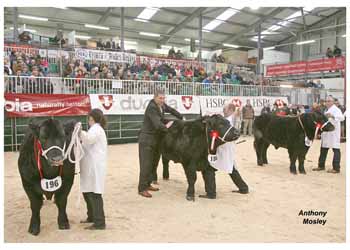 ANM-WWF-1208-5774