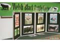 ANM-WWF-1208-5162
