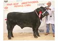 ANM-WWF-1208-5582