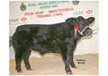 ANM-WWF-1208-5629