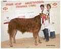 ANM-WWF-1208-5945