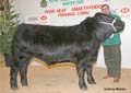 ANM-WWF-1208-6002